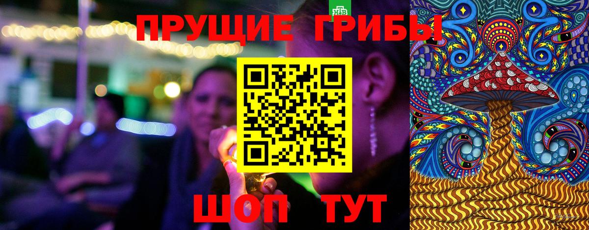 Псилоцибиновые грибы Cubensis Дагестанские Огни