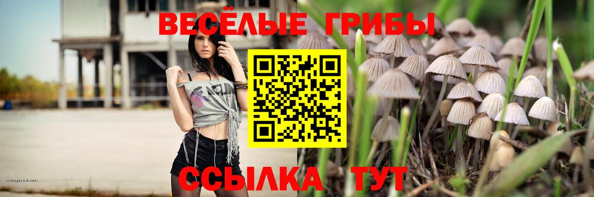 Дагестанские Огни  Галлюциногенные грибы прущие грибы  дарнет шоп  Вход с VPN 